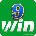 9WinGame APK 2026: Pakistan’s Top Real Money Earning App
